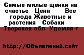 Самые милые щенки на счастье › Цена ­ 1 - Все города Животные и растения » Собаки   . Тверская обл.,Удомля г.